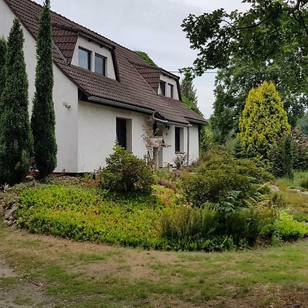 Ferienwohnung "Waldfrieden" Altdobern Eksteriør billede