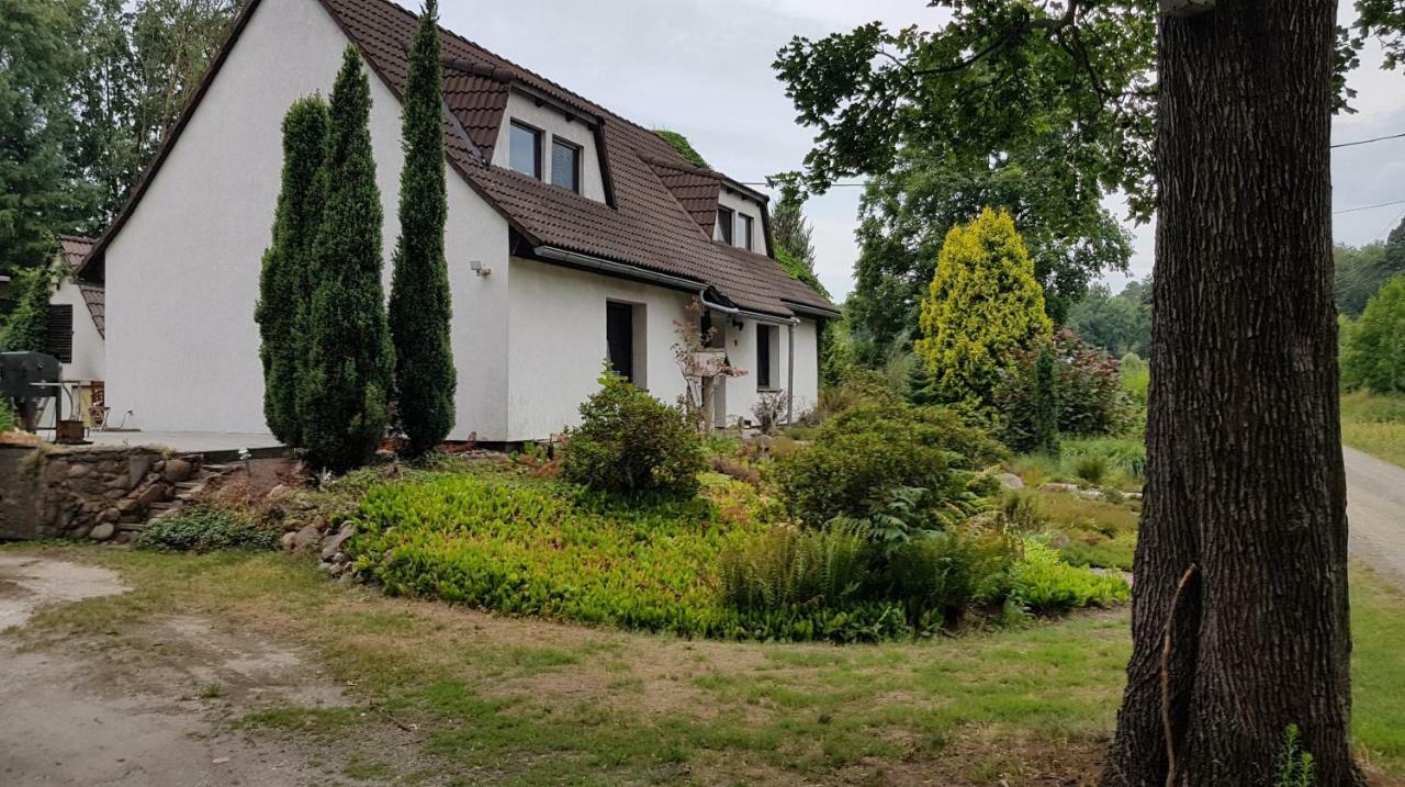 Ferienwohnung "Waldfrieden" Altdobern Eksteriør billede