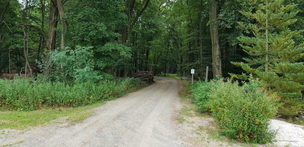 Ferienwohnung "Waldfrieden" Altdobern Eksteriør billede